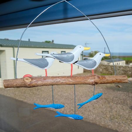 Kittiwake Apartment Saint Cyrus Bagian luar foto