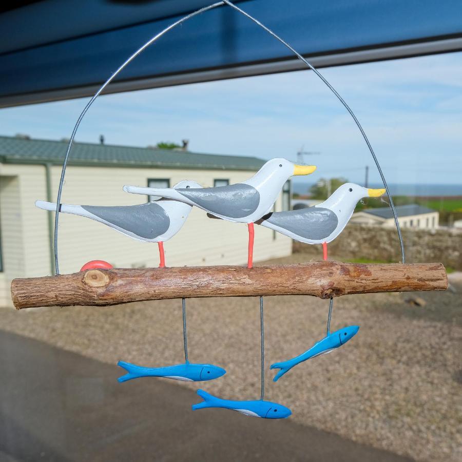 Kittiwake Apartment Saint Cyrus Bagian luar foto